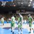 (Slovenija - Češka) Eurobasket