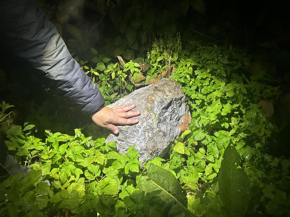 skala na železniških tirih trčenje vlaka | Avtor: Slovenske železnice