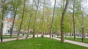 Park Zvezda