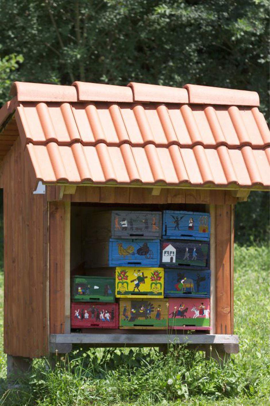 Čebelarji Slovenija | Avtor: Profimedia