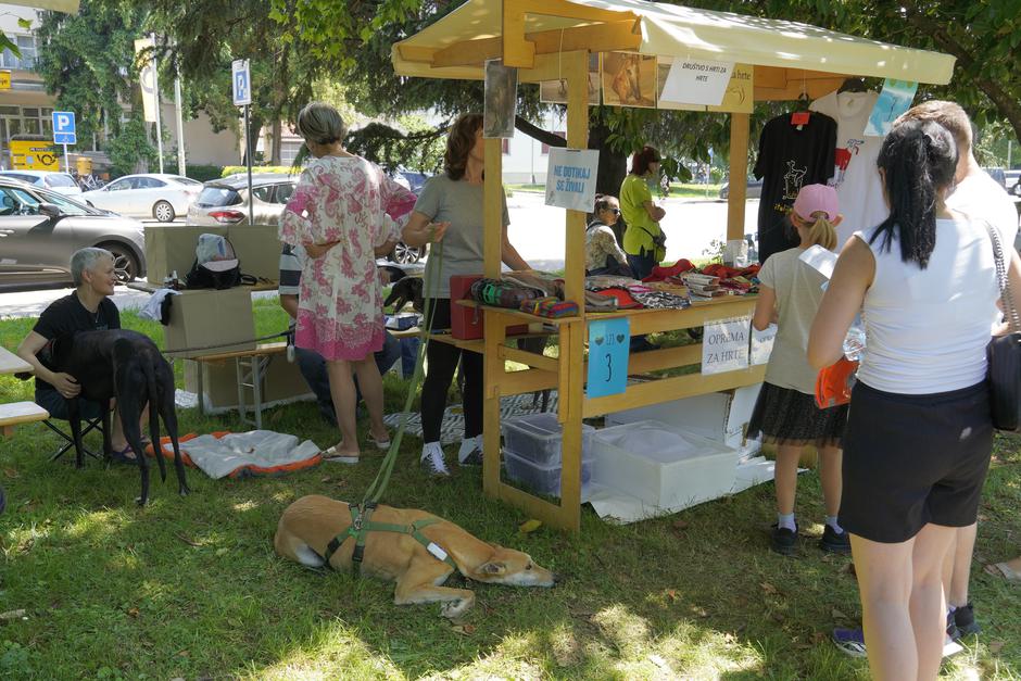 Festival za ljubitelje živali 2025 | Avtor: Matija Janezic