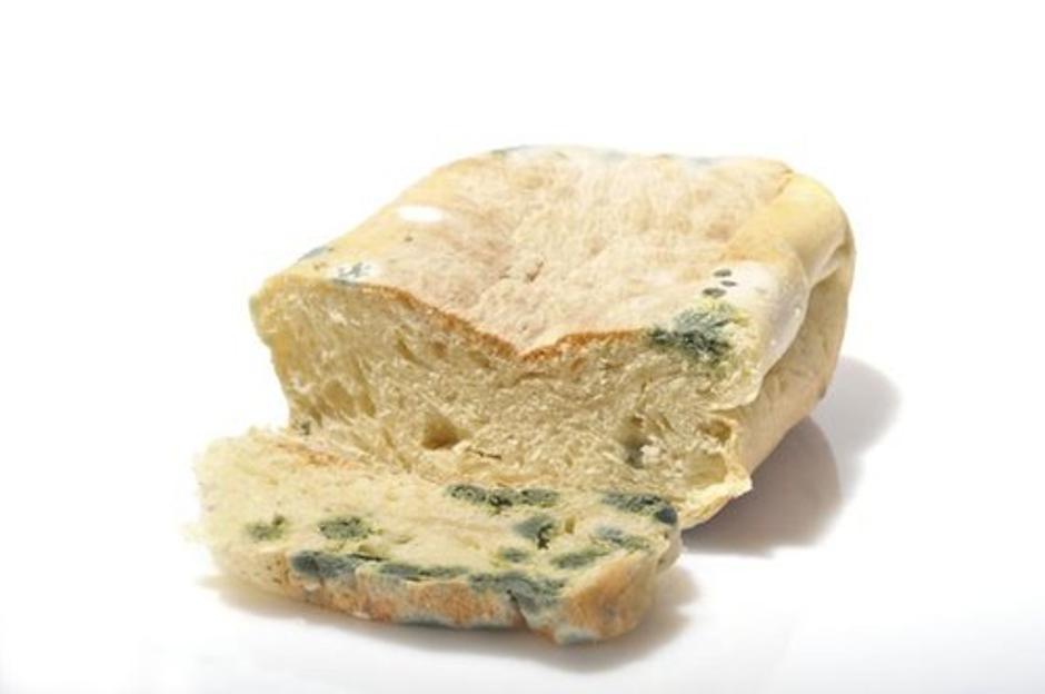 Plesen na kruhu | Avtor: Profimedias