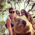 Quokka