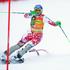 Zuzulova Kranjska Gora zlata lisica slalom