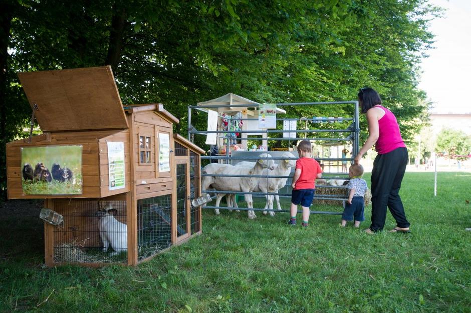 festival za ljubitelje živali | Avtor: Anže Petkovšek