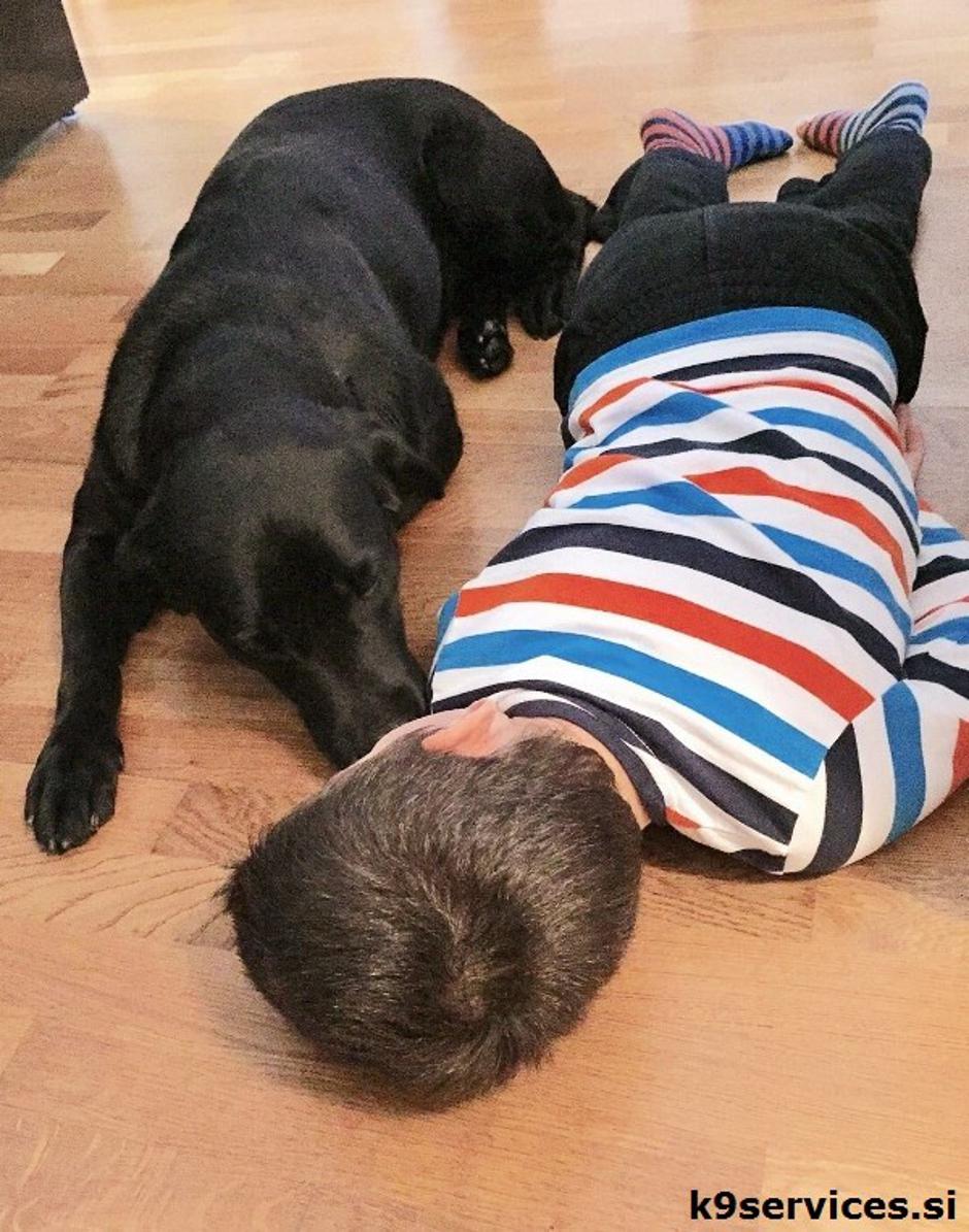 Tara in dvojček | Avtor: Andreja Cilenšek