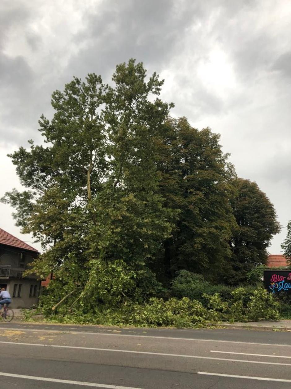 Dolenjska cesta pri strelišču | Avtor: bralka