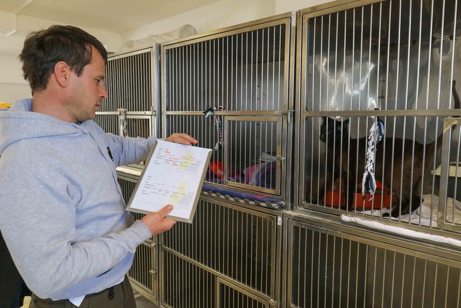 Marko Oman | Avtor: Saša Despot