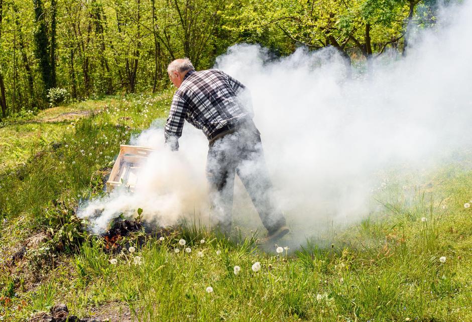 zeleni odpad | Avtor: Profimedia