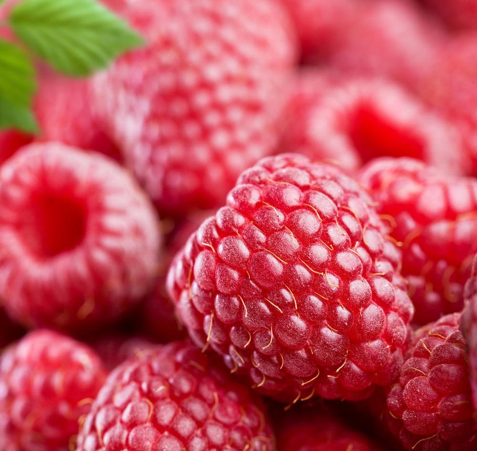 (Foto: Shutterstock)