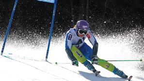 Maze Schladming finale svetovni pokal alpsko smučanje veleslalom