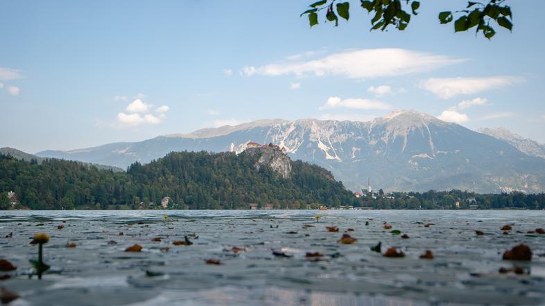 Bled