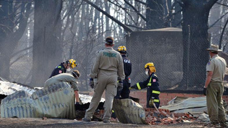 Forenziki iščejo trupla neke družine 100 kilometrov severno od Melbourna.