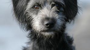 Organizatorji akcije se za donacije zahvaljujejo vsem sodelujočim. (Foto: Shutte