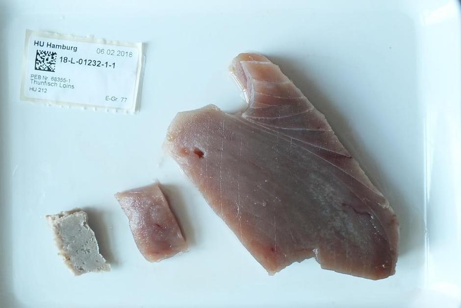 Zasežena tuna, Europol | Avtor: Europol 