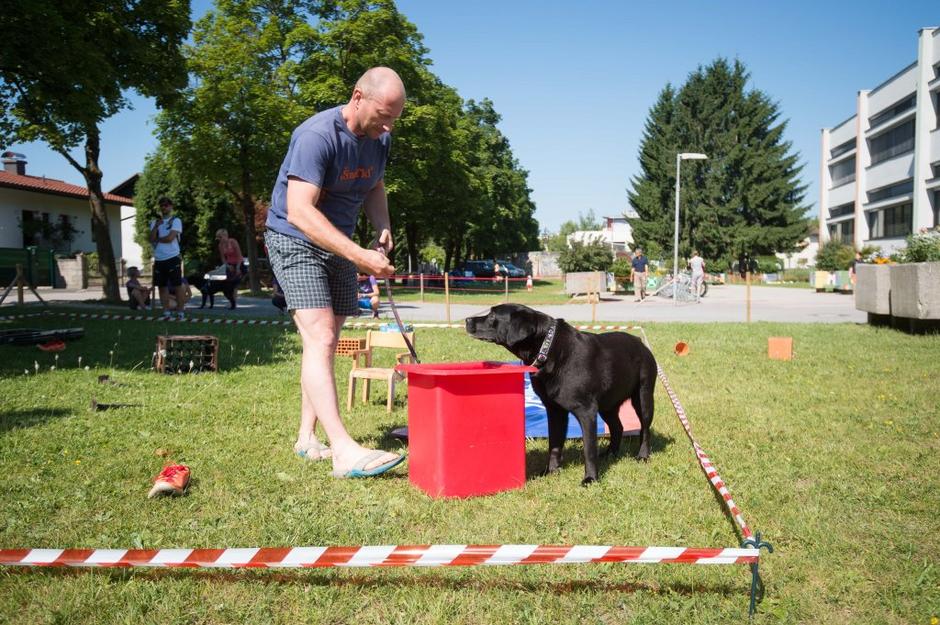 festival za ljubitelje živali | Avtor: Anže Petkovšek