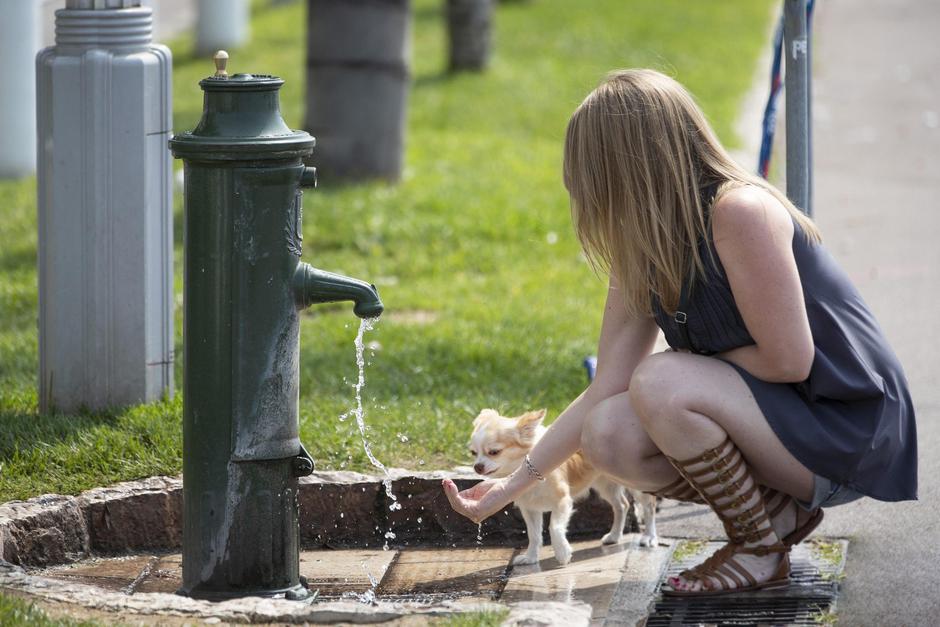 Vreme: Na vidiku prvi vročinski val | Avtor: Profimedia