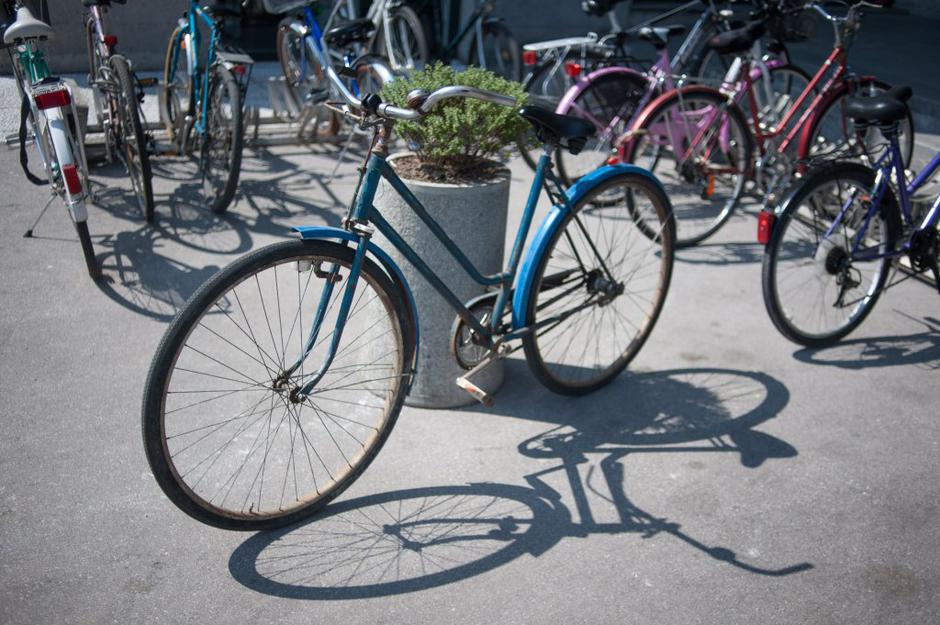 kolo | Avtor: Anže Petkovšek