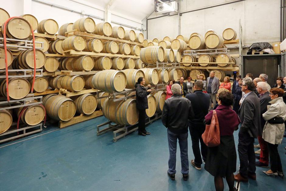 Dveri-Pax, klet | Avtor: Uroš Modic