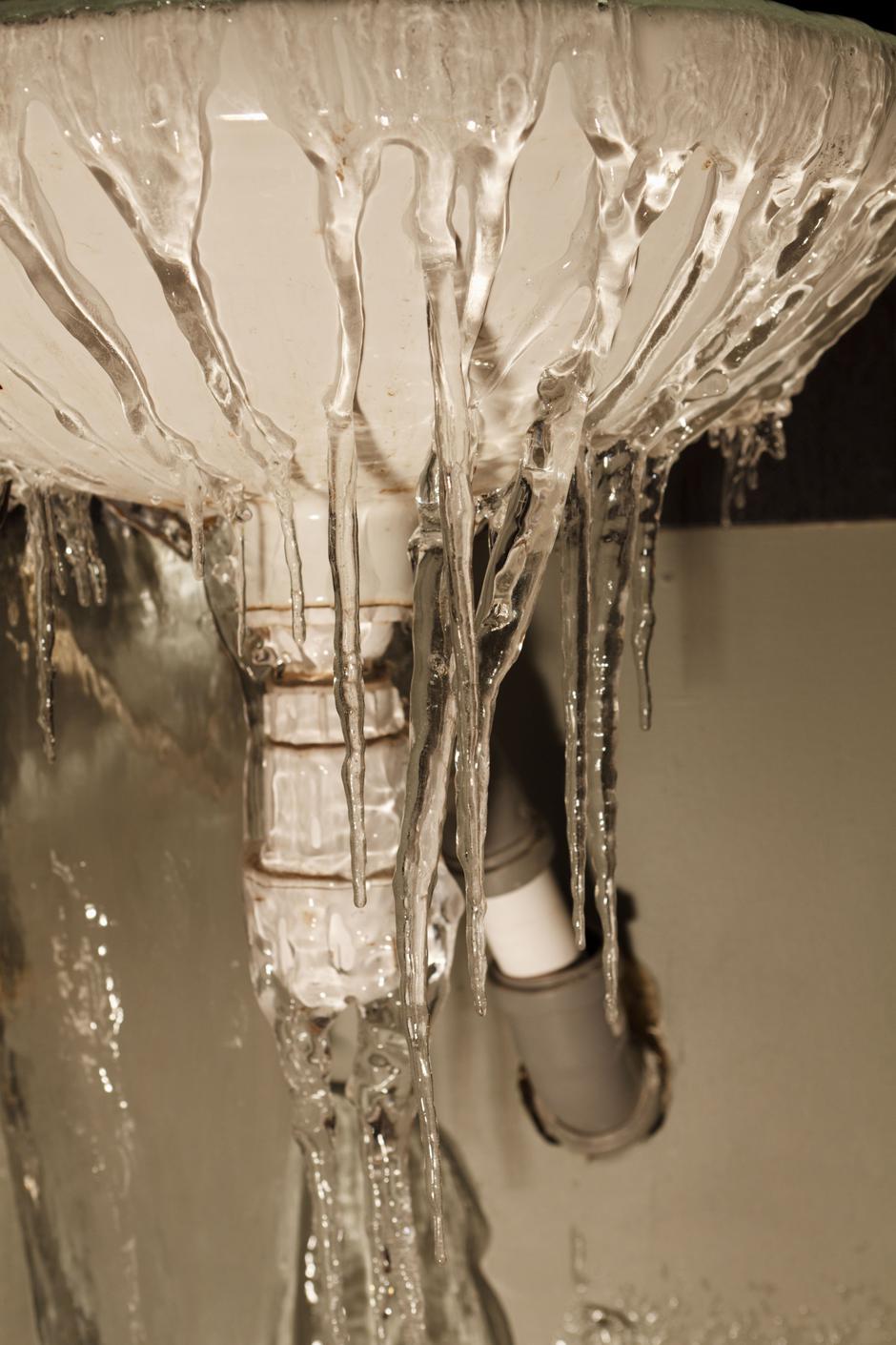 zmrzovanje | Avtor: Profimedia