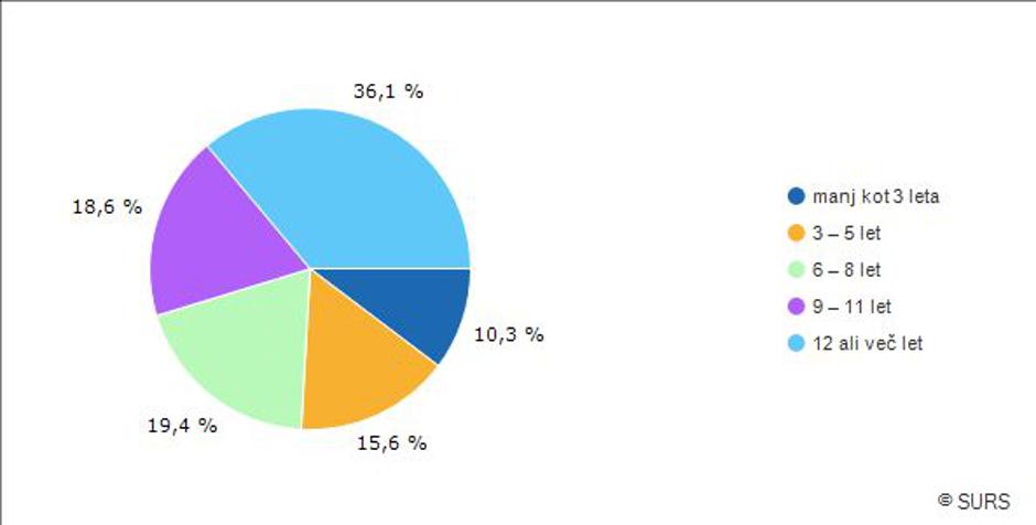 Statistični podatki o trgu avtomobilov | Avtor: SURS
