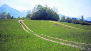 Domžalsko podjetje Propilot izvaja zorbing na kmetijskem zemljišču prve kategori