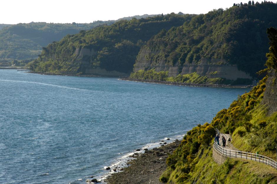 Piran | Avtor: Profimedia