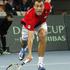 Janowicz Slovenija Poljska Davisov pokal Vroclav