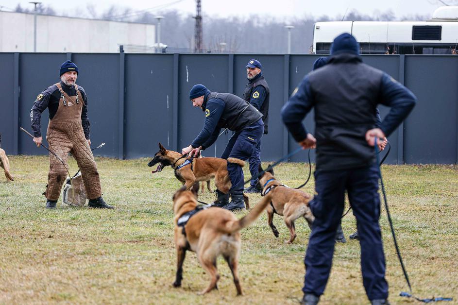 oddelek za šolanje službenih psov Gmajnice, policijski psi, šolanje psov