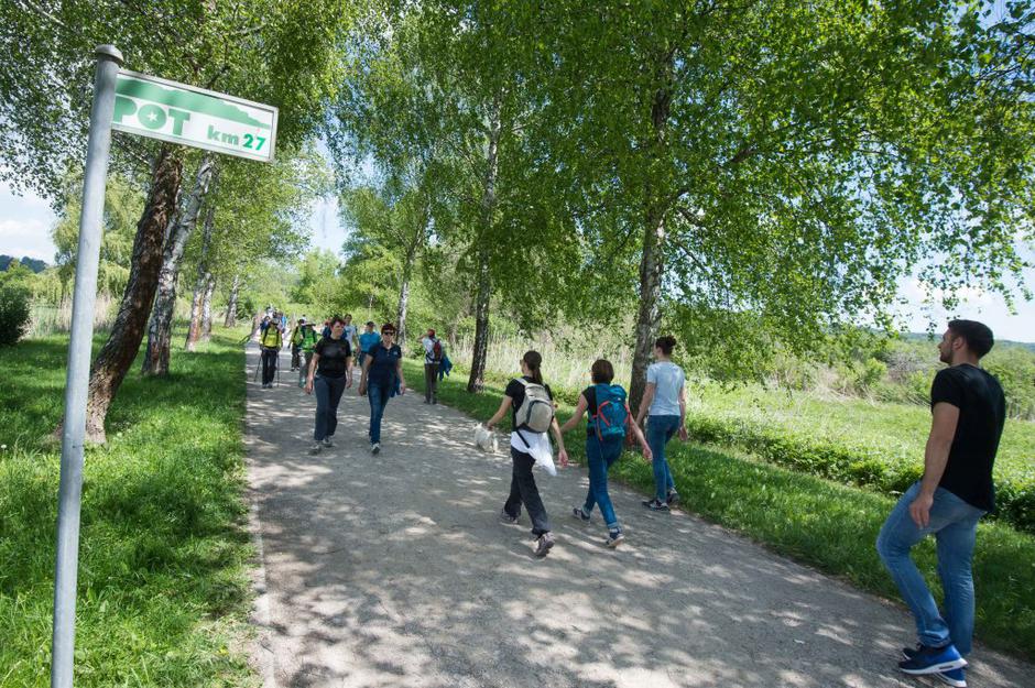 pot ob žici | Avtor: Anže Petkovšek