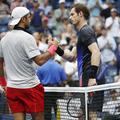 Fernando Verdasco Andy Murray