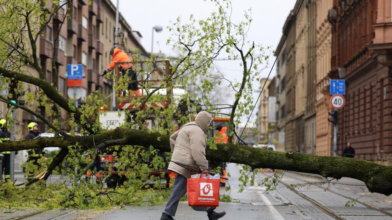 Posledice neurja, Zagreb, podrta drevesa