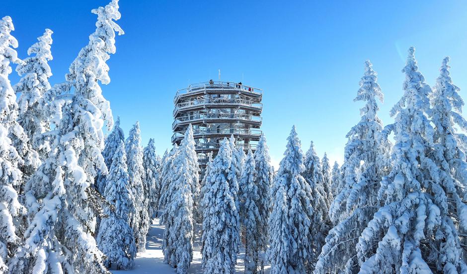 Rogla | Avtor: Foto arhiv: PMKP