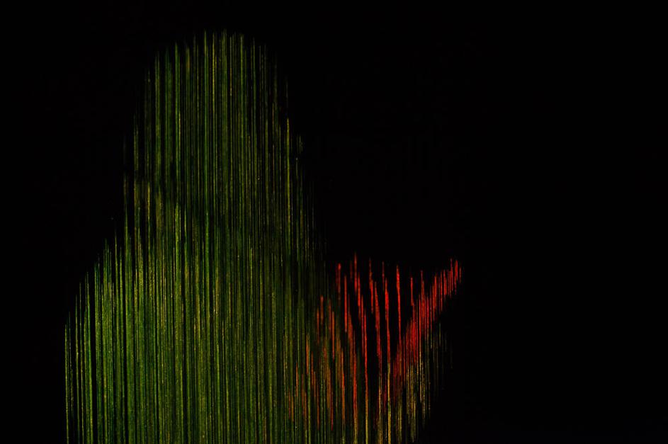 Scout Niblett v Trubarjevi hiši literature