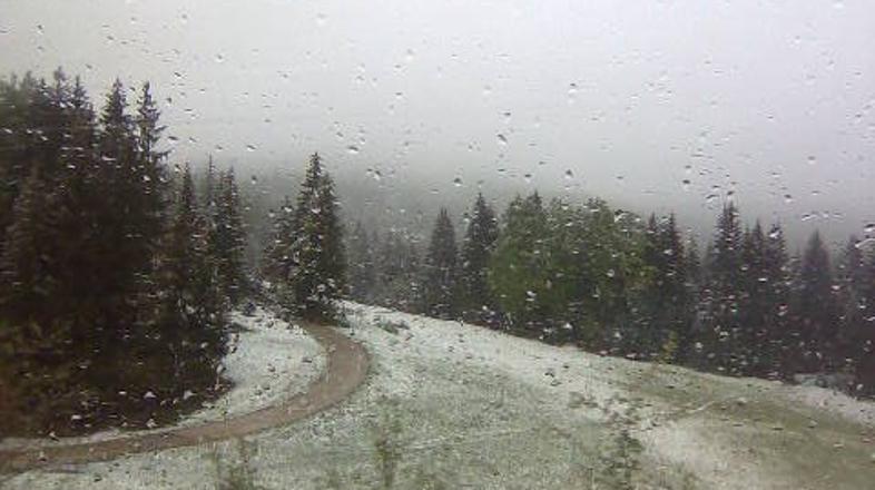 Sneg v Loškem Potoku