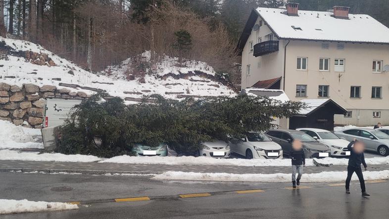 Novoletna smreka, božično drevesce, južni veter, poškodovani avti, Zgornje Jezersko