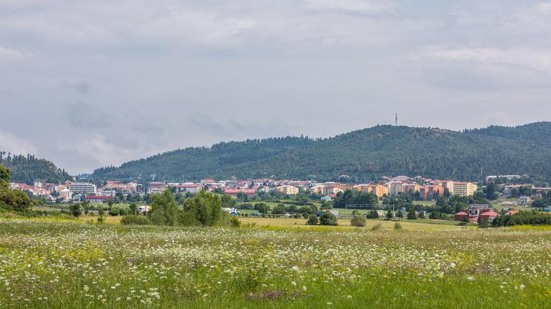 Postojna, panorama