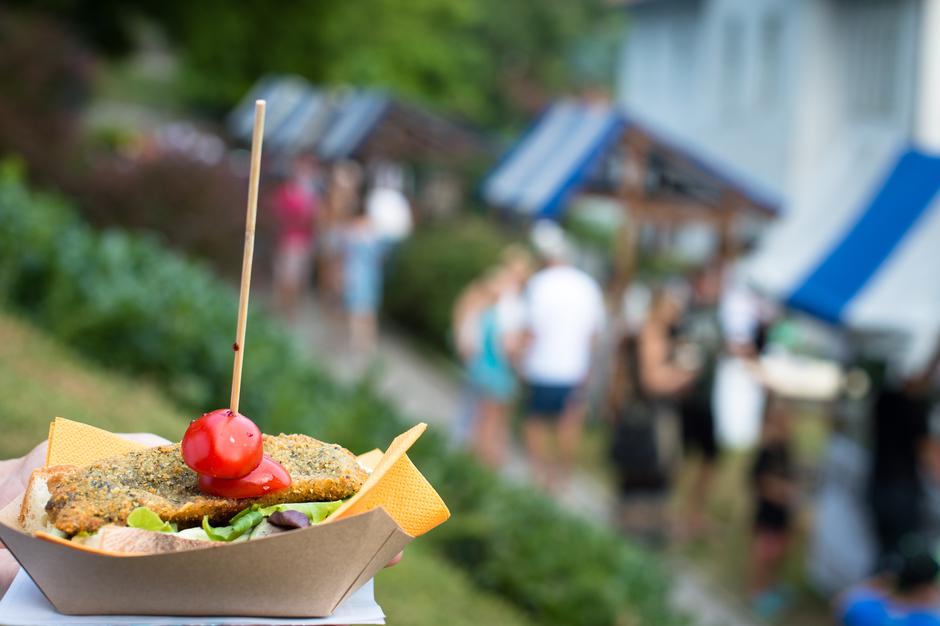 okusi Kamnika | Avtor: Anže Petkovšek