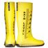 Škornji Rain Boots. Oblikovanje: Regina Regis.