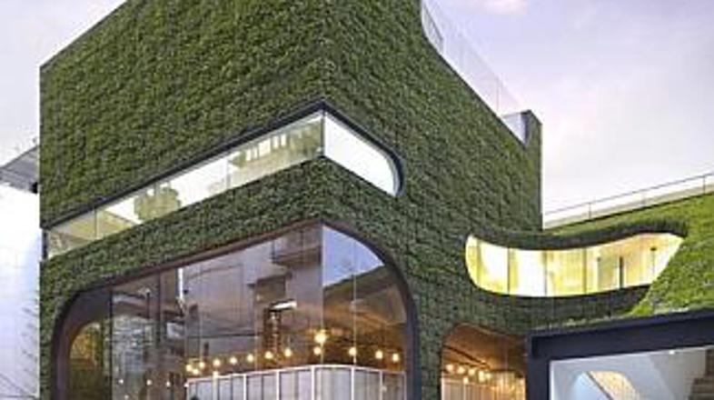 Zeleni "tujek" sredi betona in asfalta ...