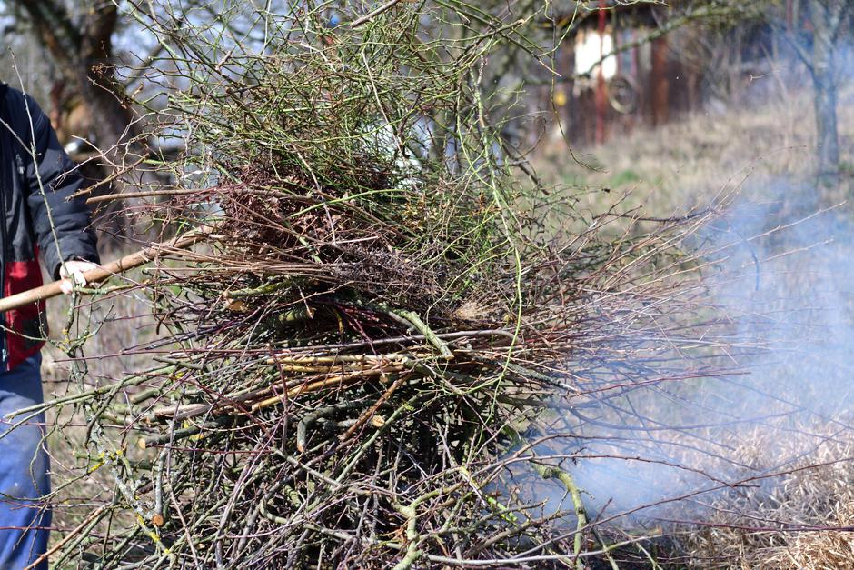 zeleni odpad | Avtor: Profimedia