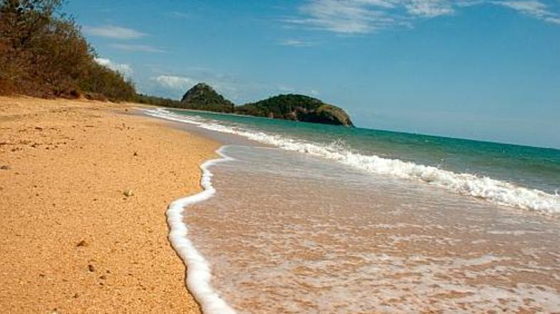 Na avstralskih obalah bo morda kmalu več nagcev.