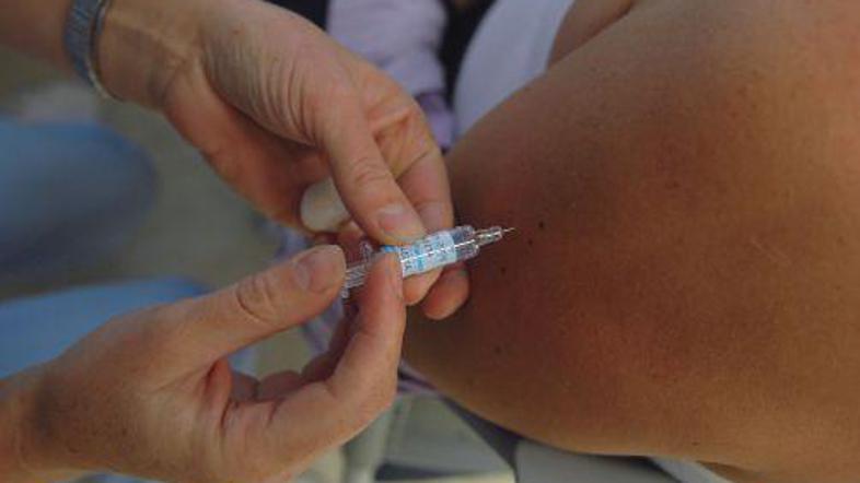 (Foto: Dejan Mijovič)