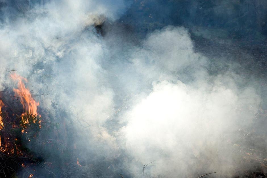 Gozdni požar na Švedskem | Avtor: Profimedia