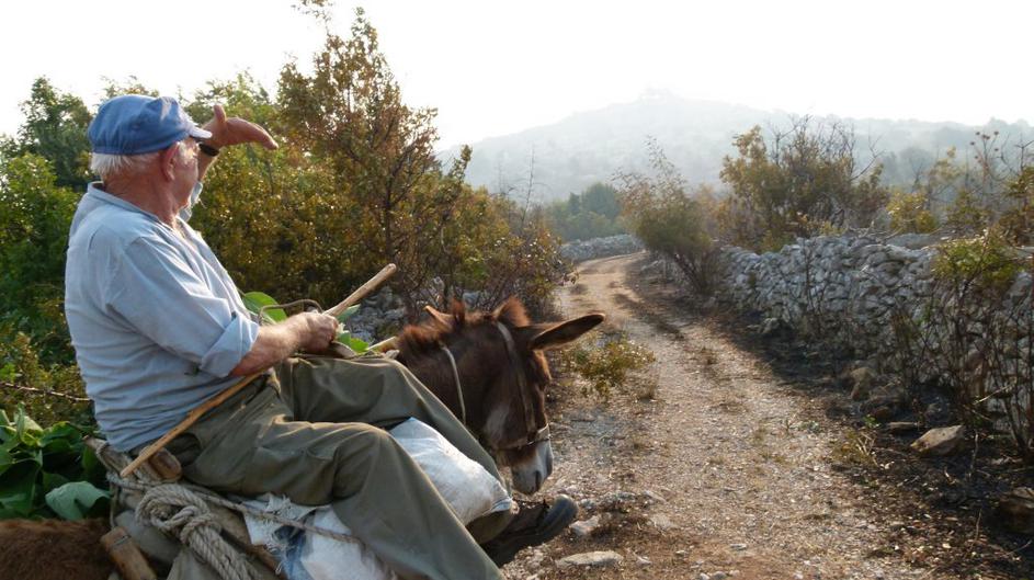 Požar pustoši po Braču