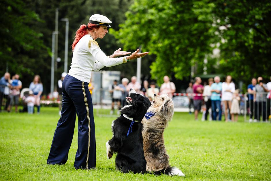 festival za ljubitelje živali | Avtor: Saša Despot