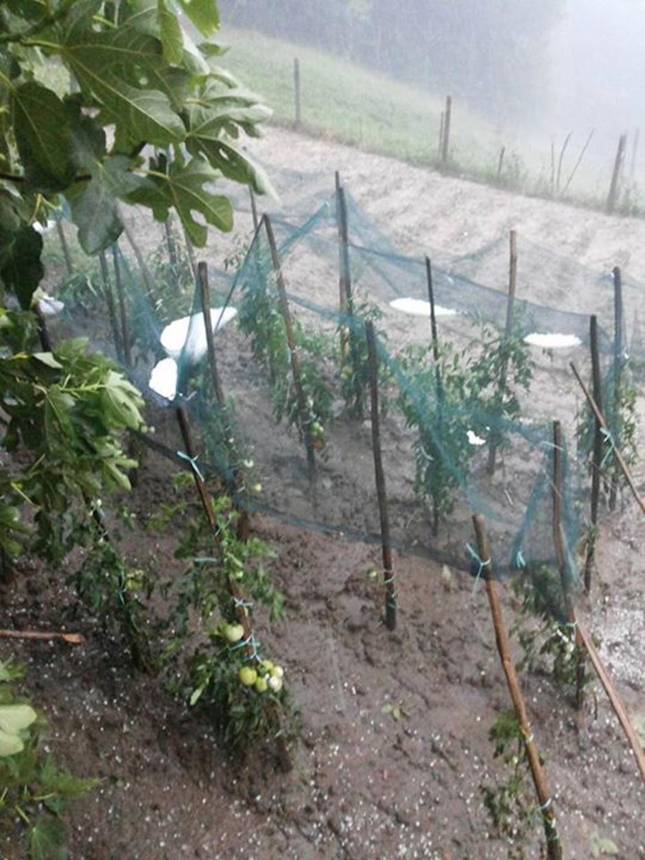 Toča  | Avtor: Bralka Irena