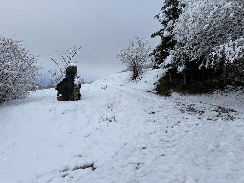 Sneg Kal pri Ivančni Gorici, Ambrus | Avtor: Bralka