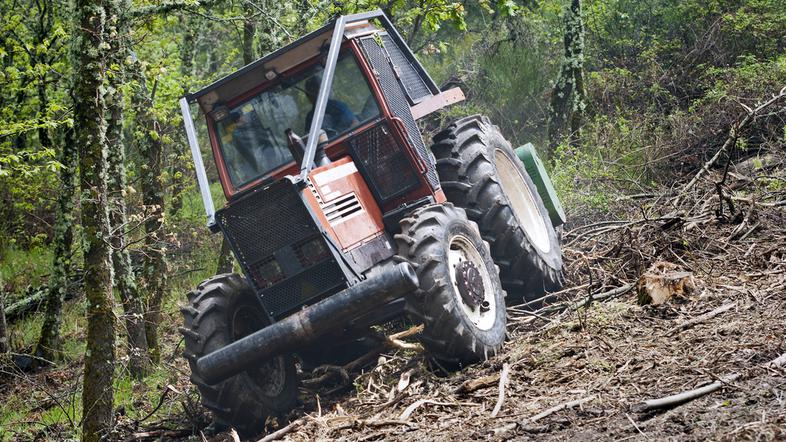 Traktor v gozdu
