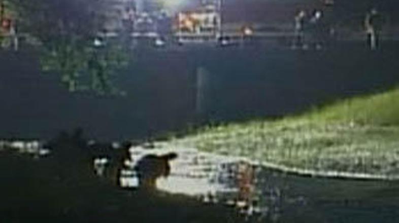 Kraj, kjer so avtomobil potegnili iz vode.